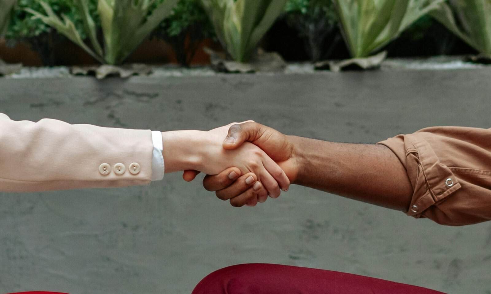 Close-up of diverse hands shaking indoors, symbolizing partnership and agreement.